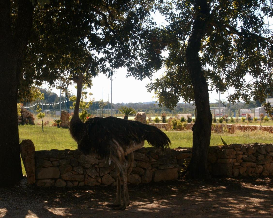 Tenuta Ferraro Галлиполи Экстерьер фото